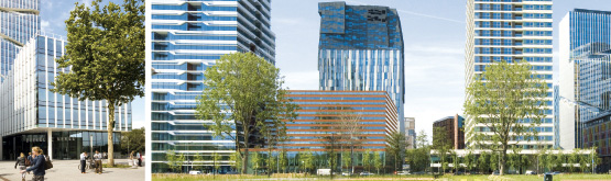 Zuidas